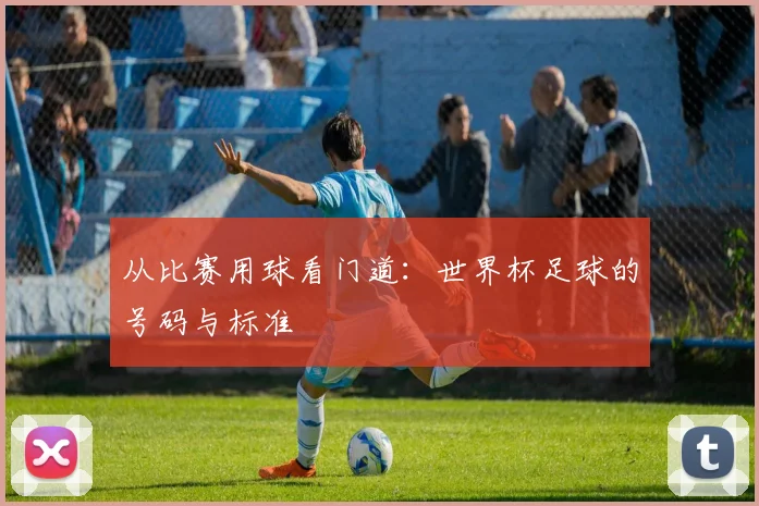 从比赛用球看门道：世界杯足球的号码与标准