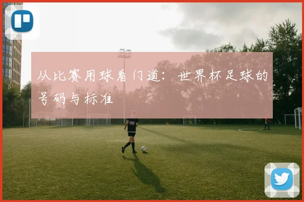 从比赛用球看门道：世界杯足球的号码与标准