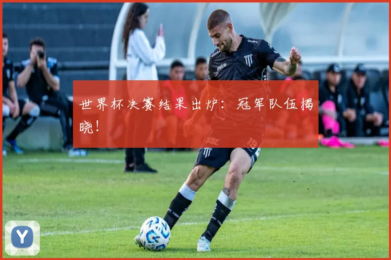 世界杯决赛结果出炉:冠军队伍揭晓!