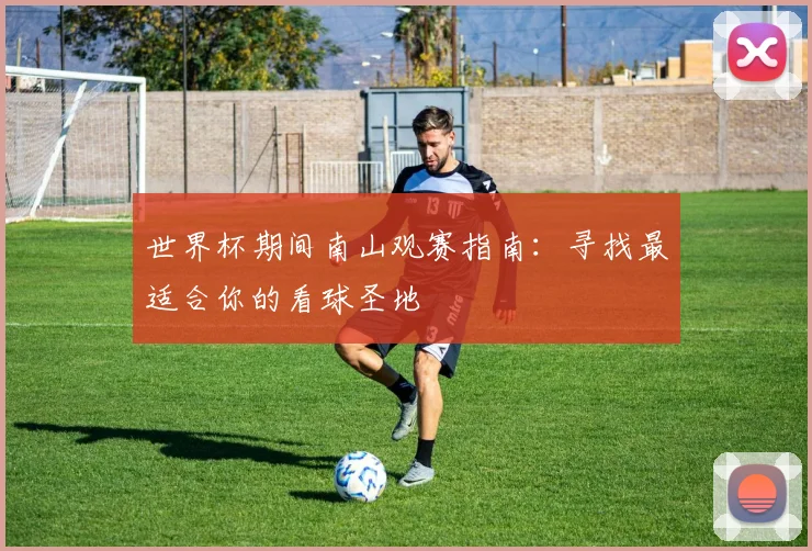 世界杯期间南山观赛指南：寻找最适合你的看球圣地