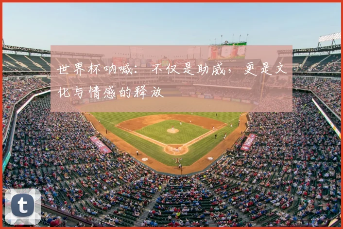 世界杯呐喊:不仅是助威,更是文化与情感的释放