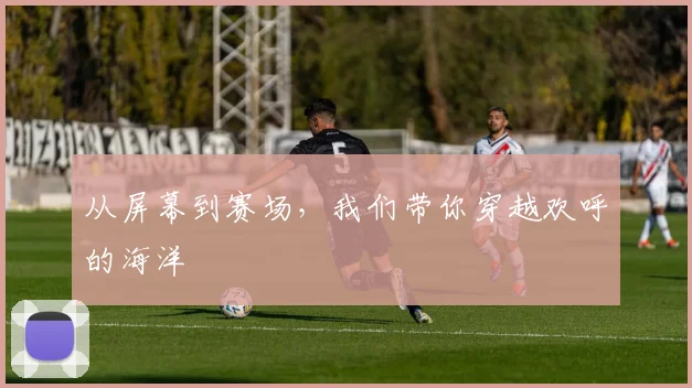 从屏幕到赛场,我们带你穿越欢呼的海洋