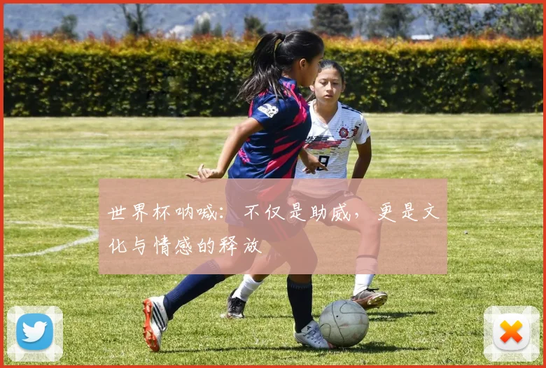 世界杯呐喊:不仅是助威,更是文化与情感的释放