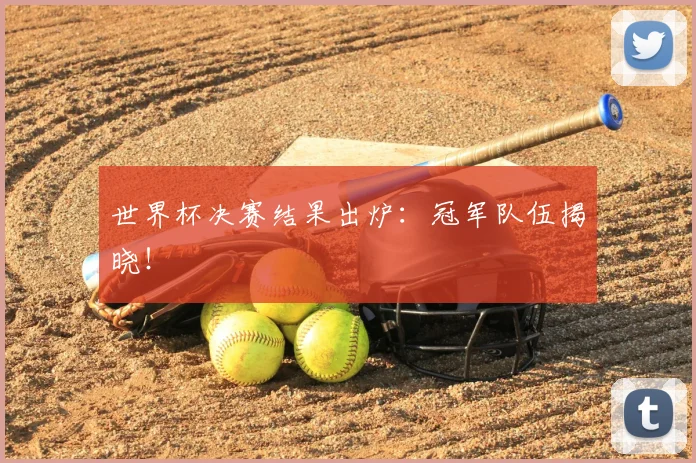 世界杯决赛结果出炉:冠军队伍揭晓!