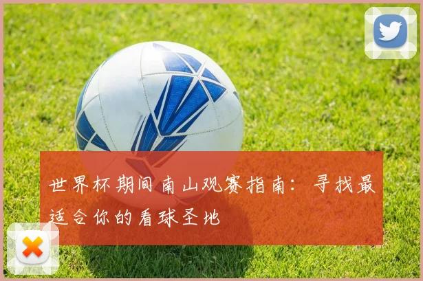世界杯期间南山观赛指南:寻找最适合你的看球圣地